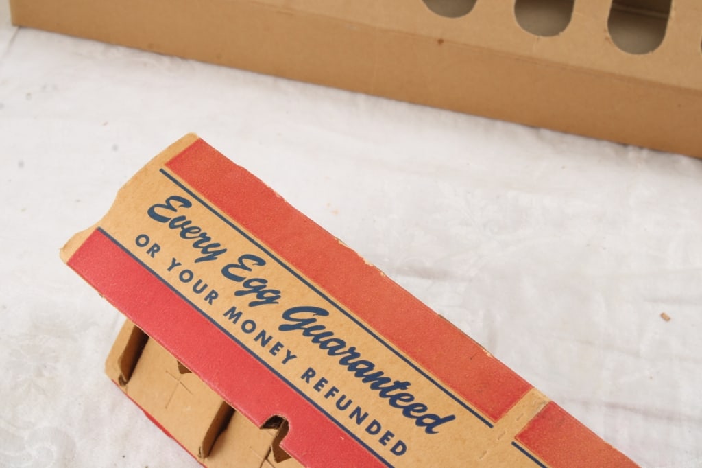 Postville Elevator Chicken Feeder & Egg Carton - 7