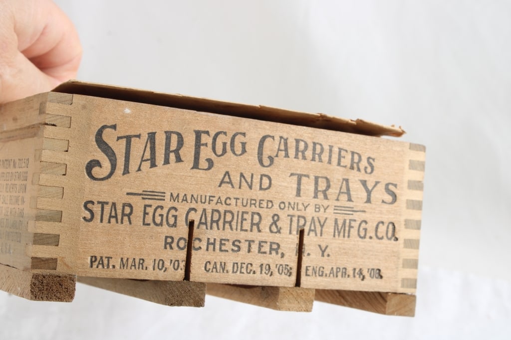 Star Egg Carrier & Tray Rochester New York - 5