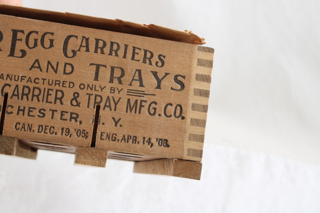 Star Egg Carrier & Tray Rochester New York - 6