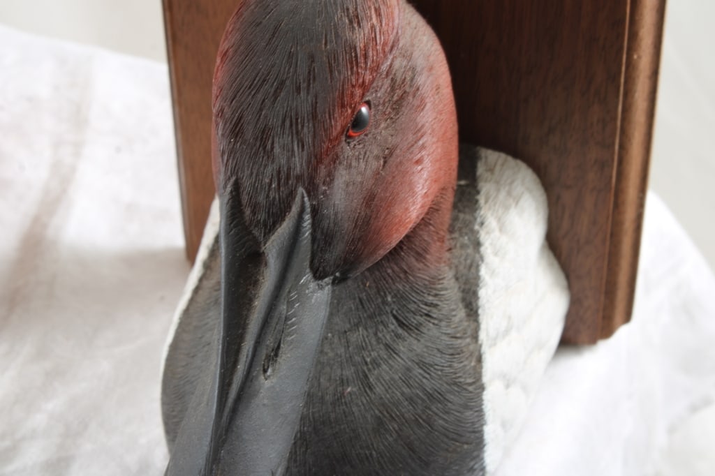 Duck's Unlimited Canvasback Wood Bookends - 3