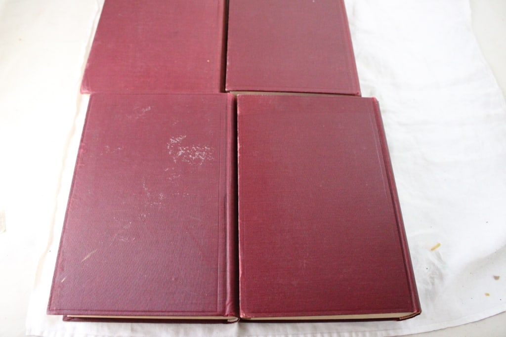 History of Minnesota Vol 1-4 WW Folwell Books - 15
