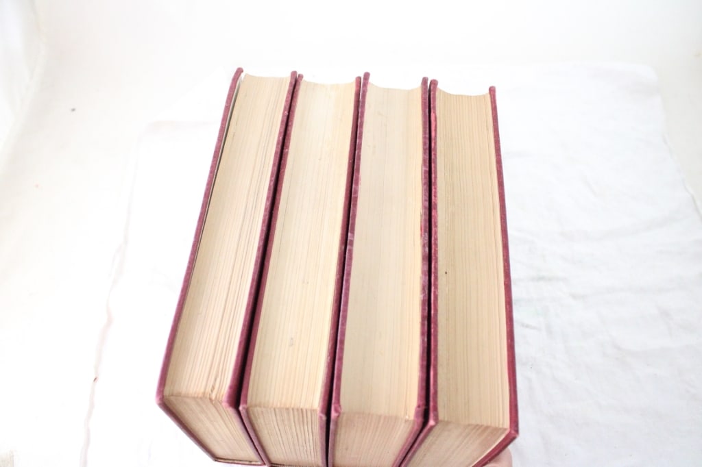 History of Minnesota Vol 1-4 WW Folwell Books - 17