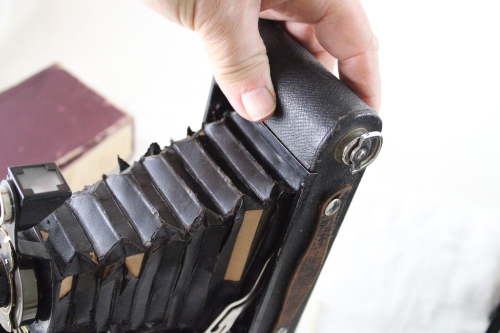 4 Antique Folding Cameras - 17
