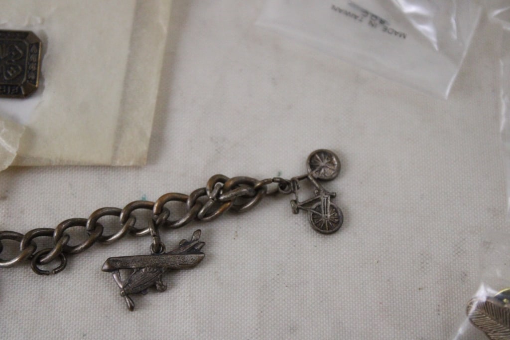 American Poultry Association Pins, Pinbacks & More - 12