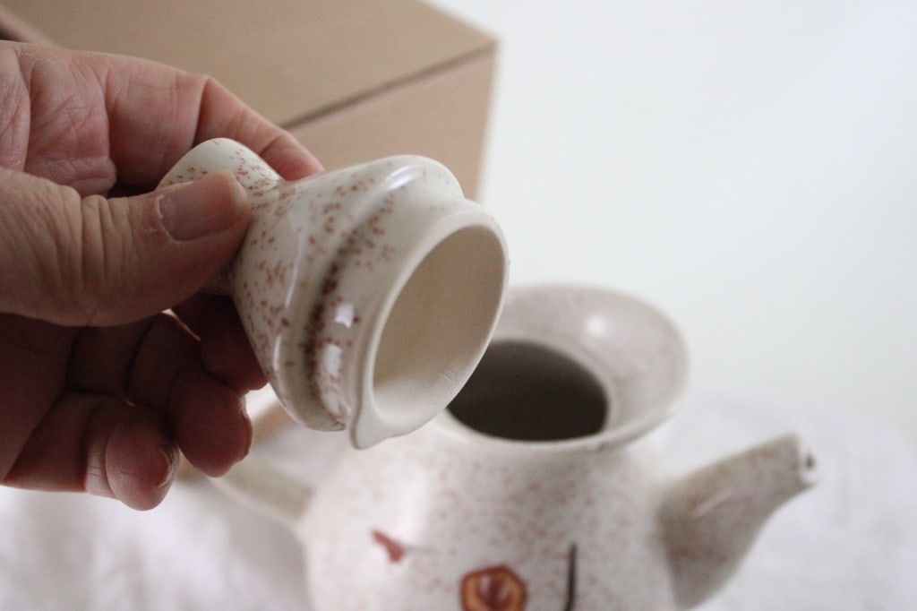 RWCS 2006 Teapot, 1999 Koverwate - 8