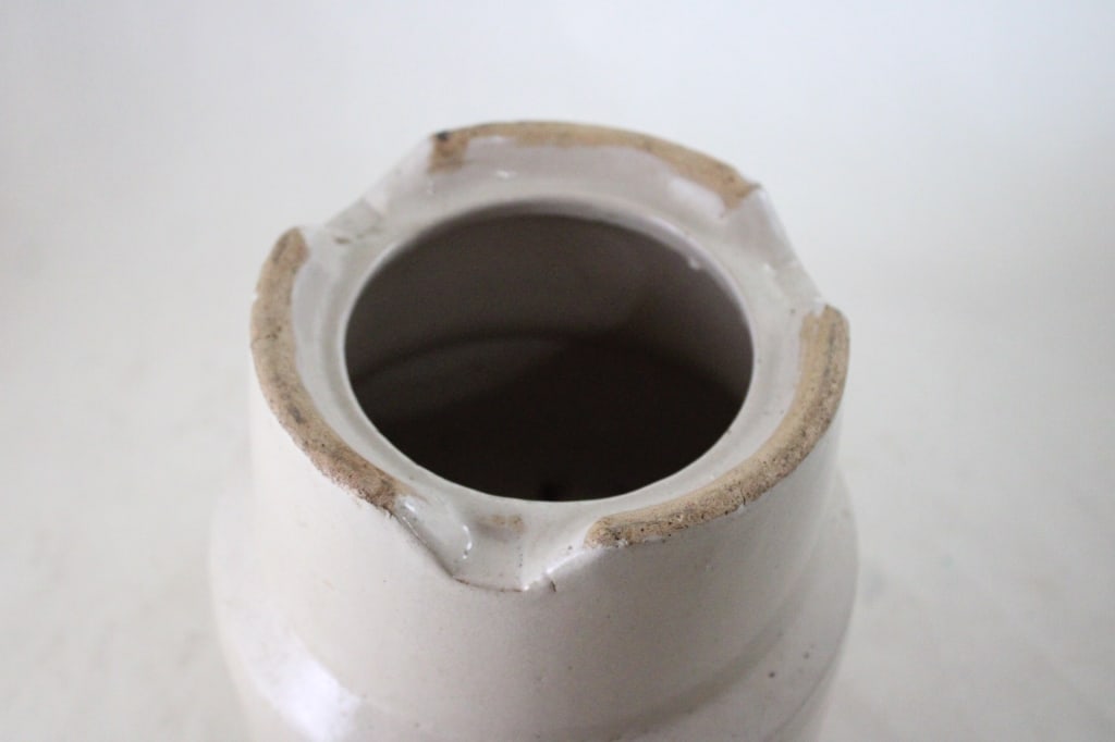 Jamesway Stoneware Chicken Waterer - 6