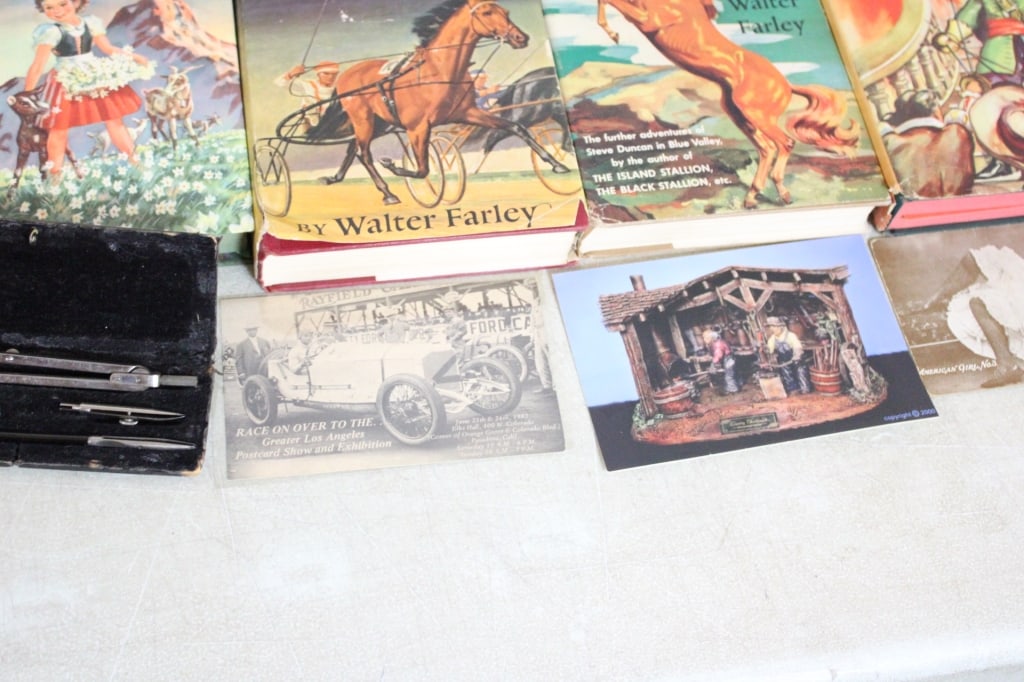 Child's Books, Toys, Games, Carved Birds & More - 14