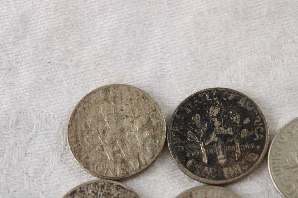 19 Roosevelt Silver Dimes & 1 Mercury Dime - 12