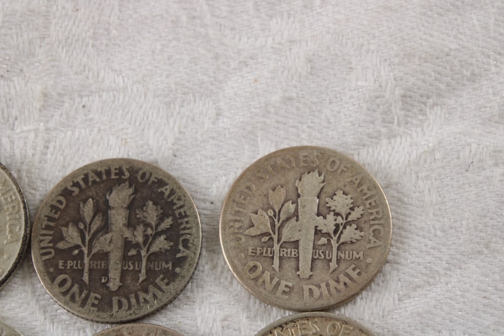 19 Roosevelt Silver Dimes & 1 Mercury Dime - 14