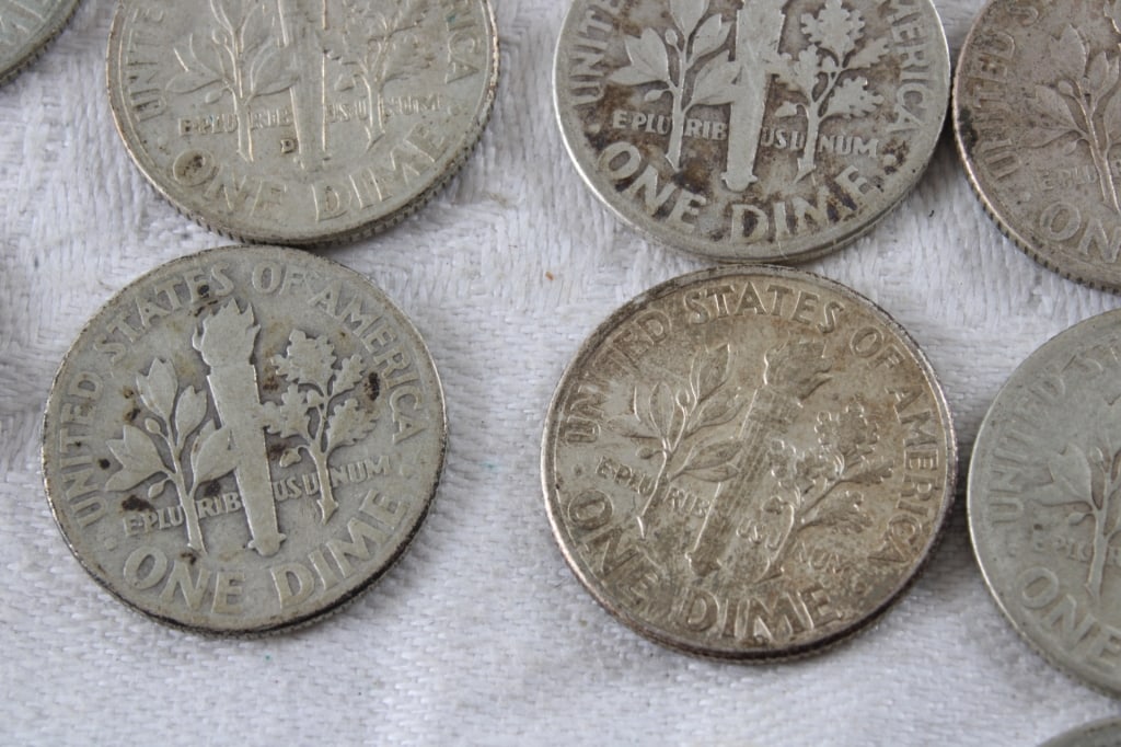 19 Roosevelt Silver Dimes & 1 Mercury Dime - 19