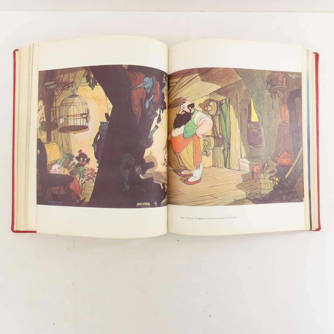 12 Large hardcover books - 5
