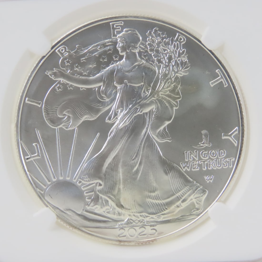 2025 P American Silver Eagle NGC Gem Uncirculated - 2