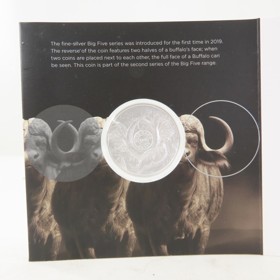 2023 South African Mint 1 ozt Silver Buffalo - 5