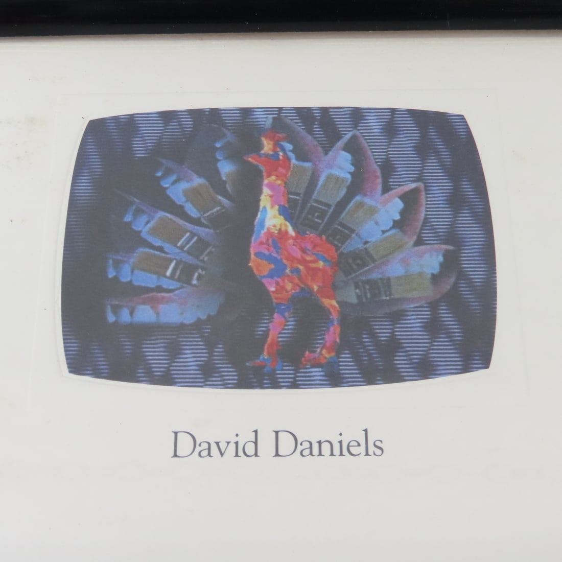 1993 NBC Peacocks Fine Art Print - Framed - 2