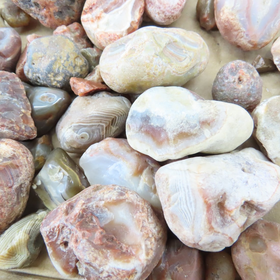 Collection of Lake Superior Agates & other rocks - 10