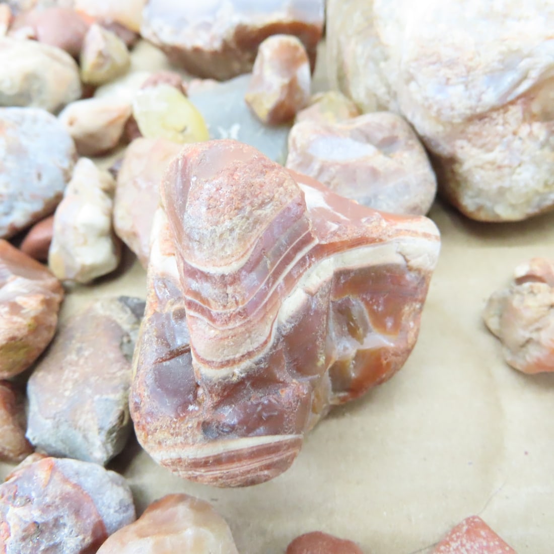 Collection of Lake Superior Agates & other rocks - 14