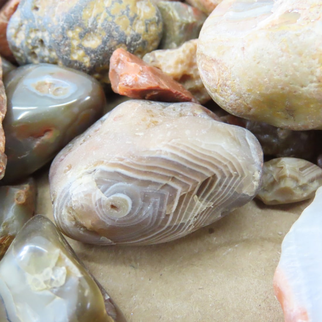 Collection of Lake Superior Agates & other rocks - 15