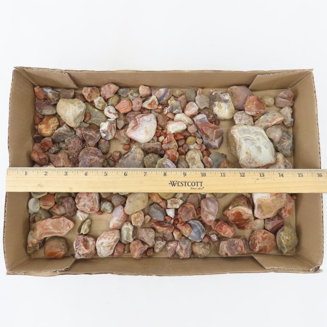 Collection of Lake Superior Agates & other rocks - 2