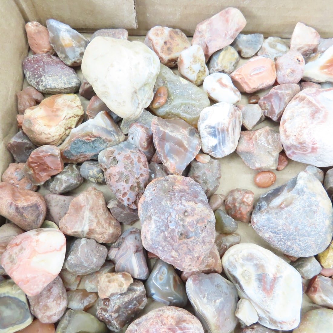 Collection of Lake Superior Agates & other rocks - 3