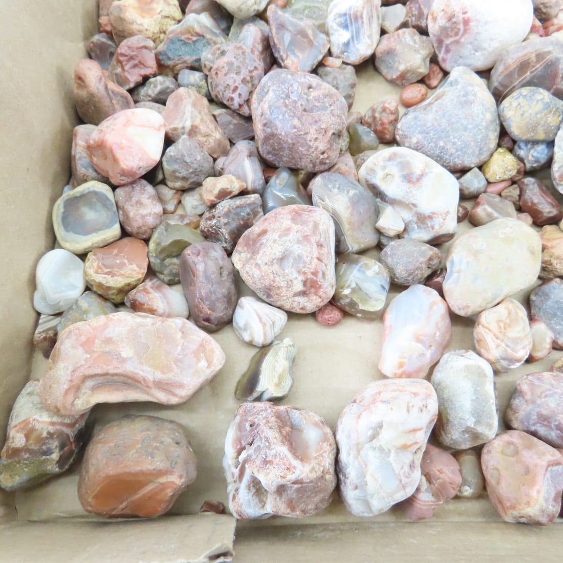 Collection of Lake Superior Agates & other rocks - 4