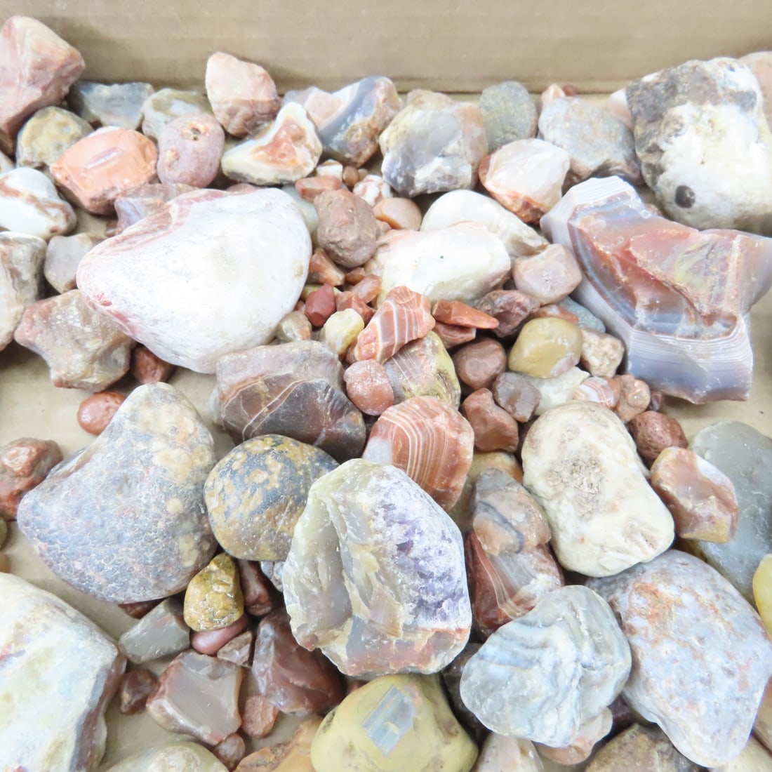 Collection of Lake Superior Agates & other rocks - 5