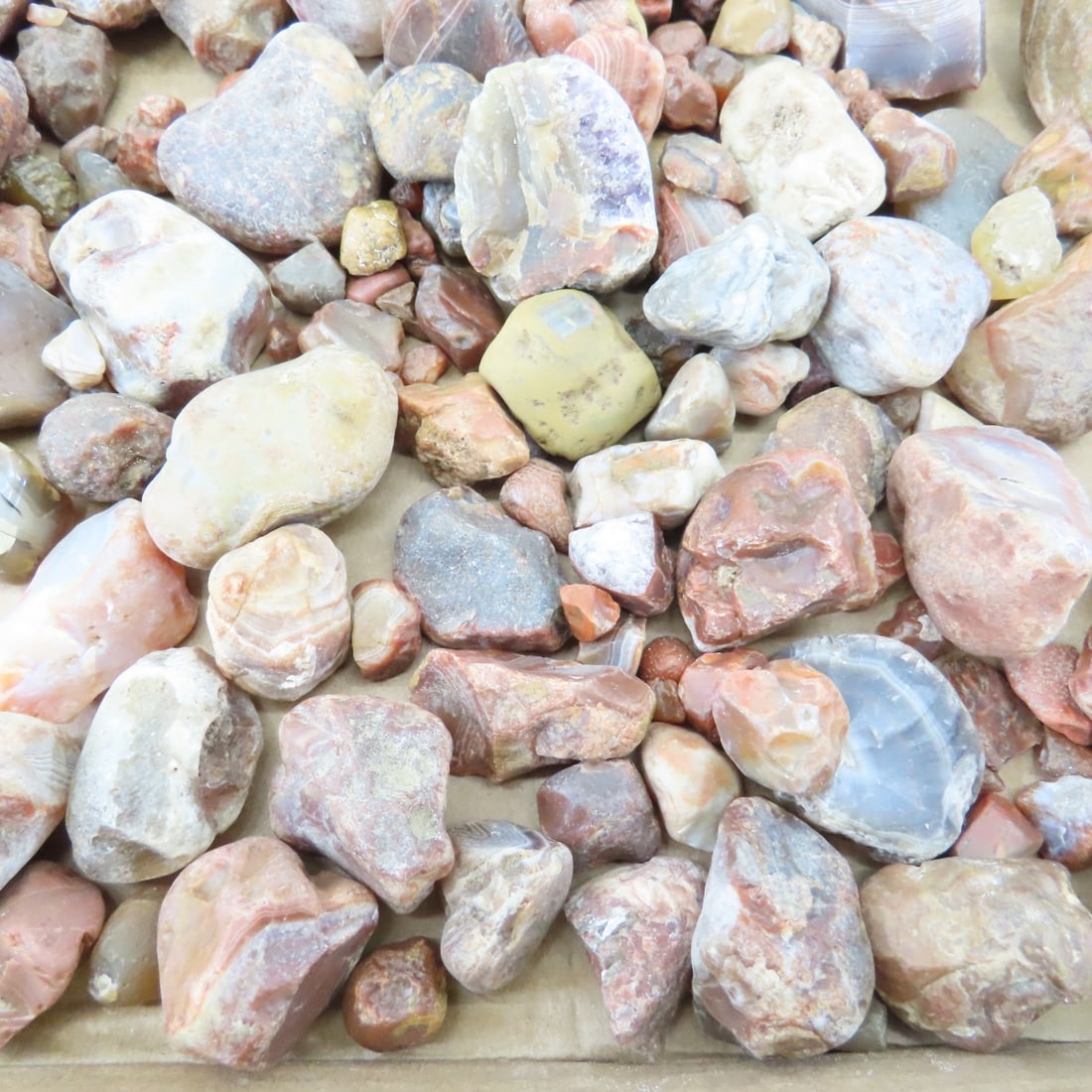 Collection of Lake Superior Agates & other rocks - 6
