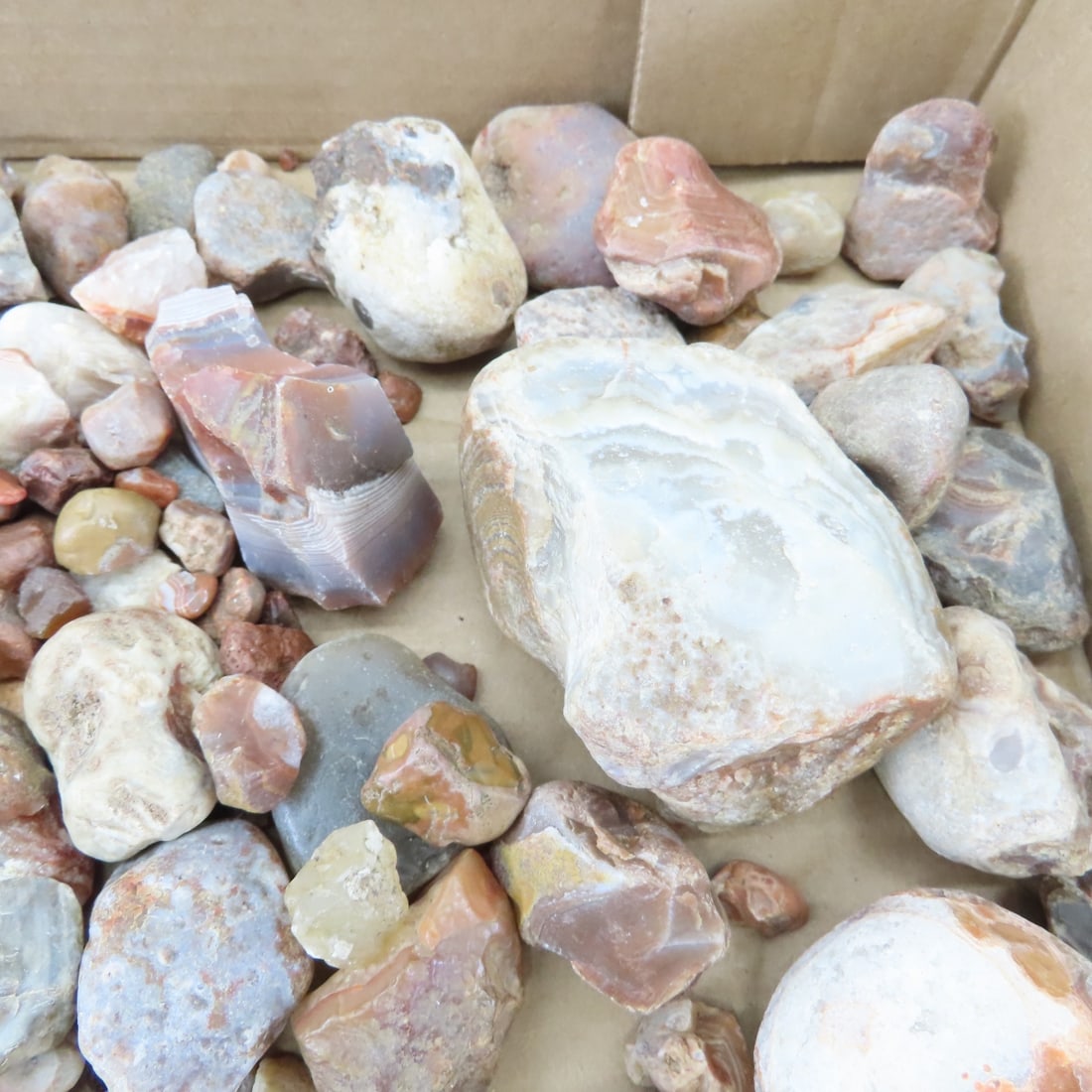 Collection of Lake Superior Agates & other rocks - 7