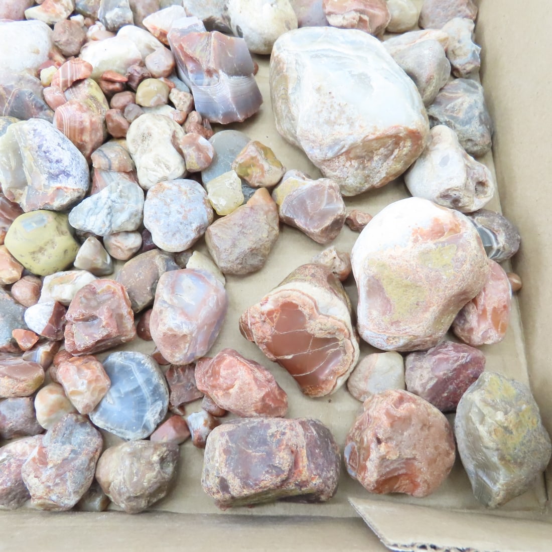 Collection of Lake Superior Agates & other rocks - 8
