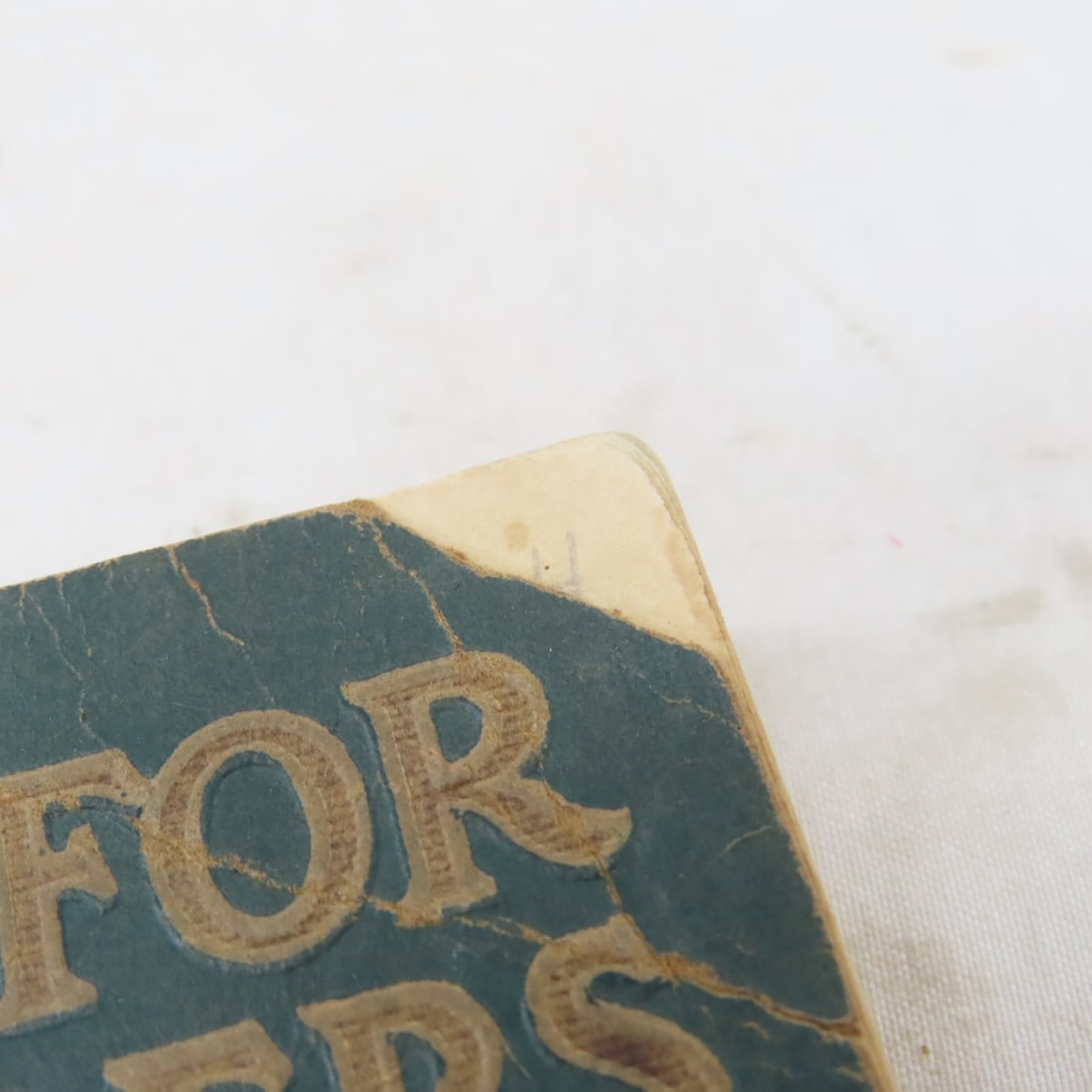 Boy Scouts Patrol Leaders Handbooks 1920s-1930s - 12