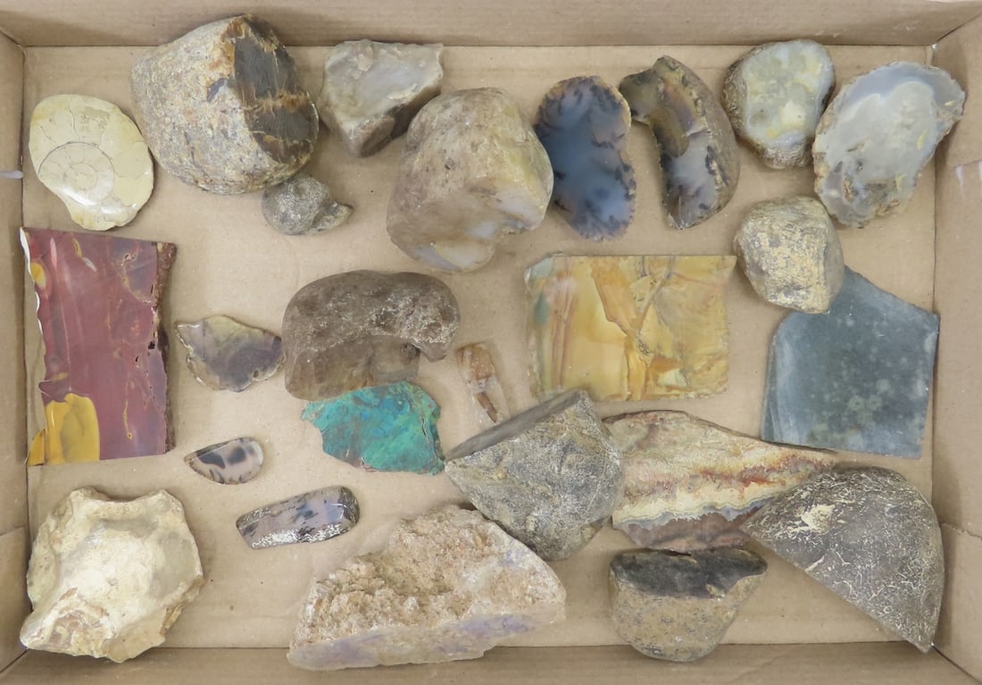 Rock Slabs, End Cuts, polished & rough 8 LBS: Rock Slabs, End Cuts, polished & rough 8 LBS - Ammonite, Jasper & more. LOT SIZE: 8x8x8" 8 LBS All information and photos, which are part of the description, are intended to be as accurate as