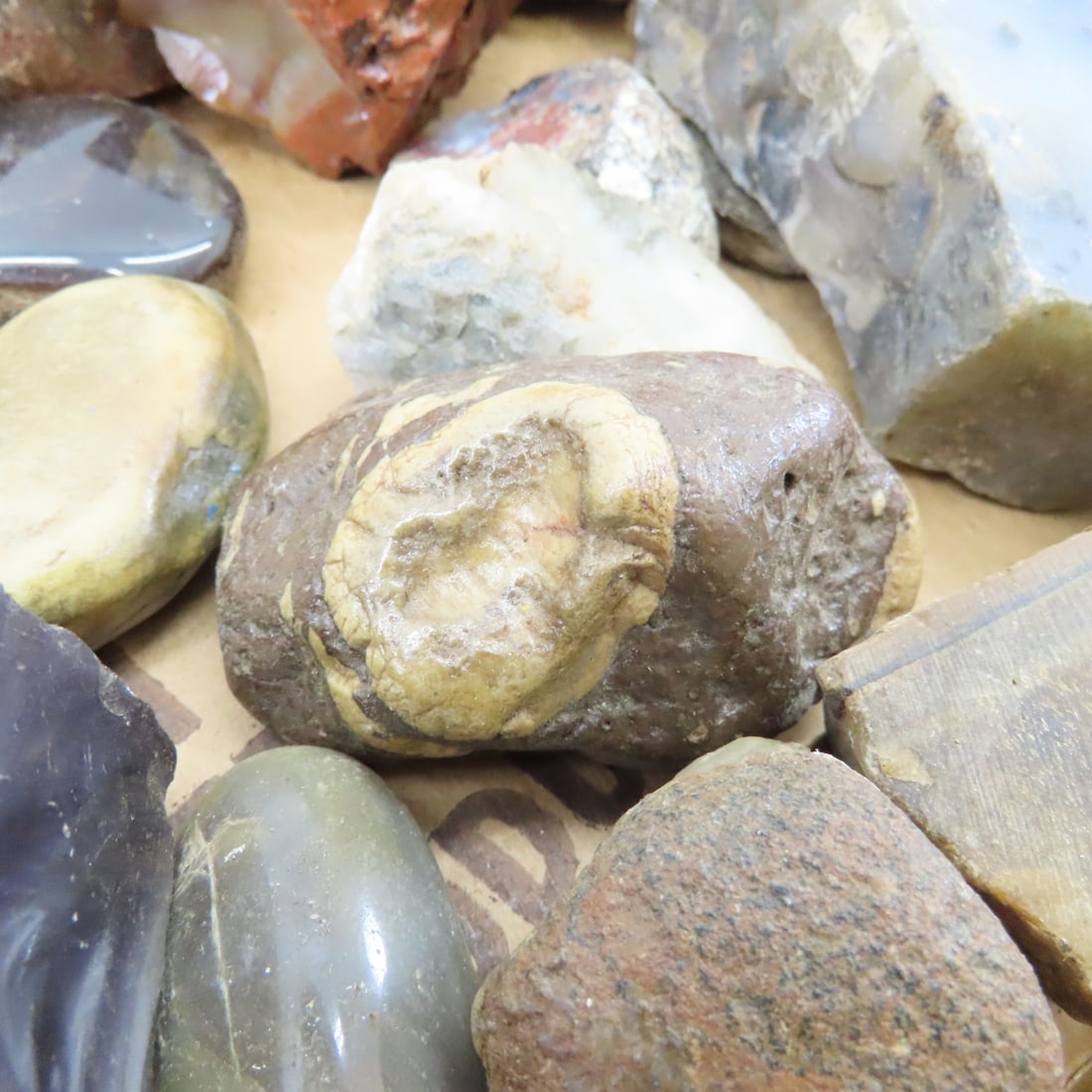 25 Lbs Mixed Quartz, Agate & other Rocks - 5