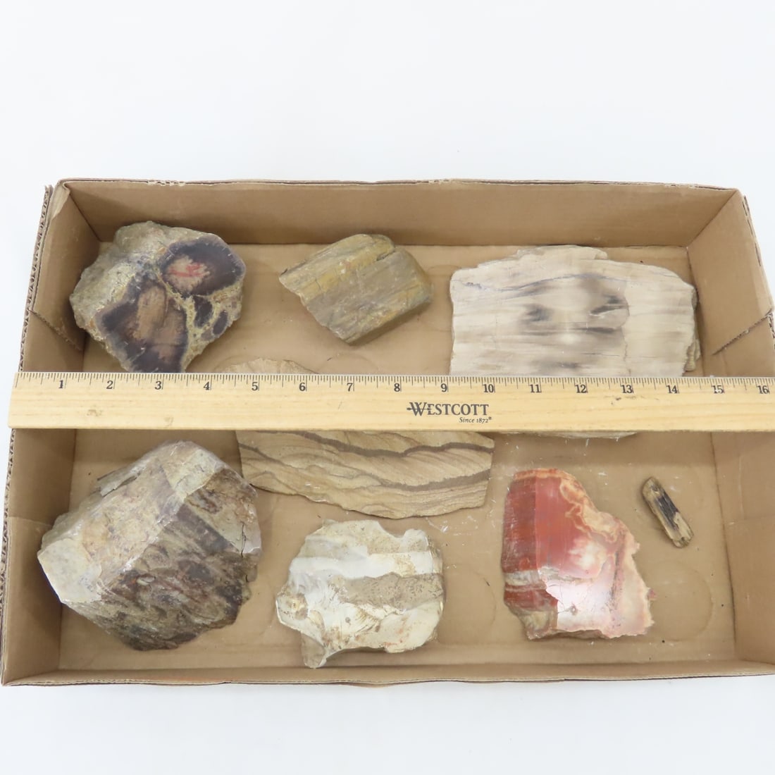 Petrified wood & other mineral specimens - 2