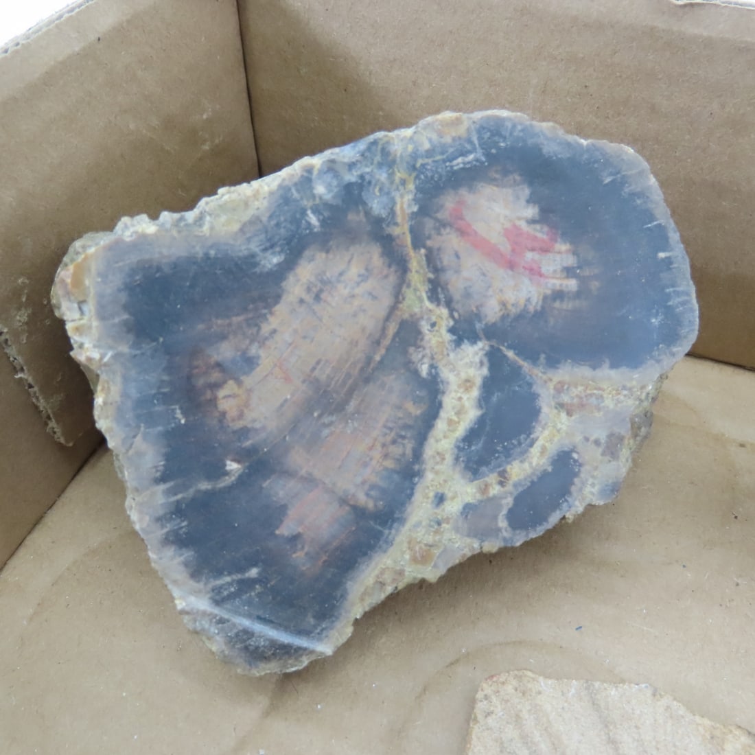 Petrified wood & other mineral specimens - 3