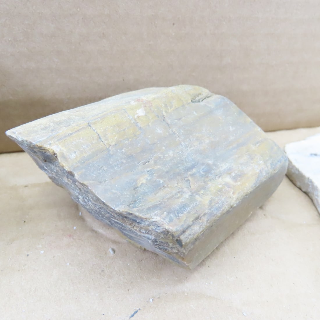 Petrified wood & other mineral specimens - 4