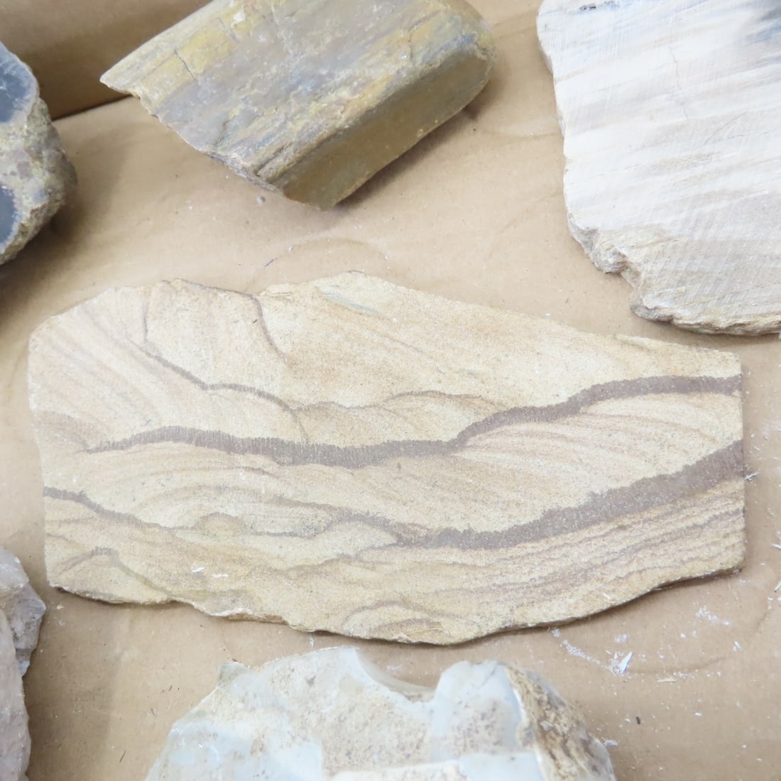 Petrified wood & other mineral specimens - 6