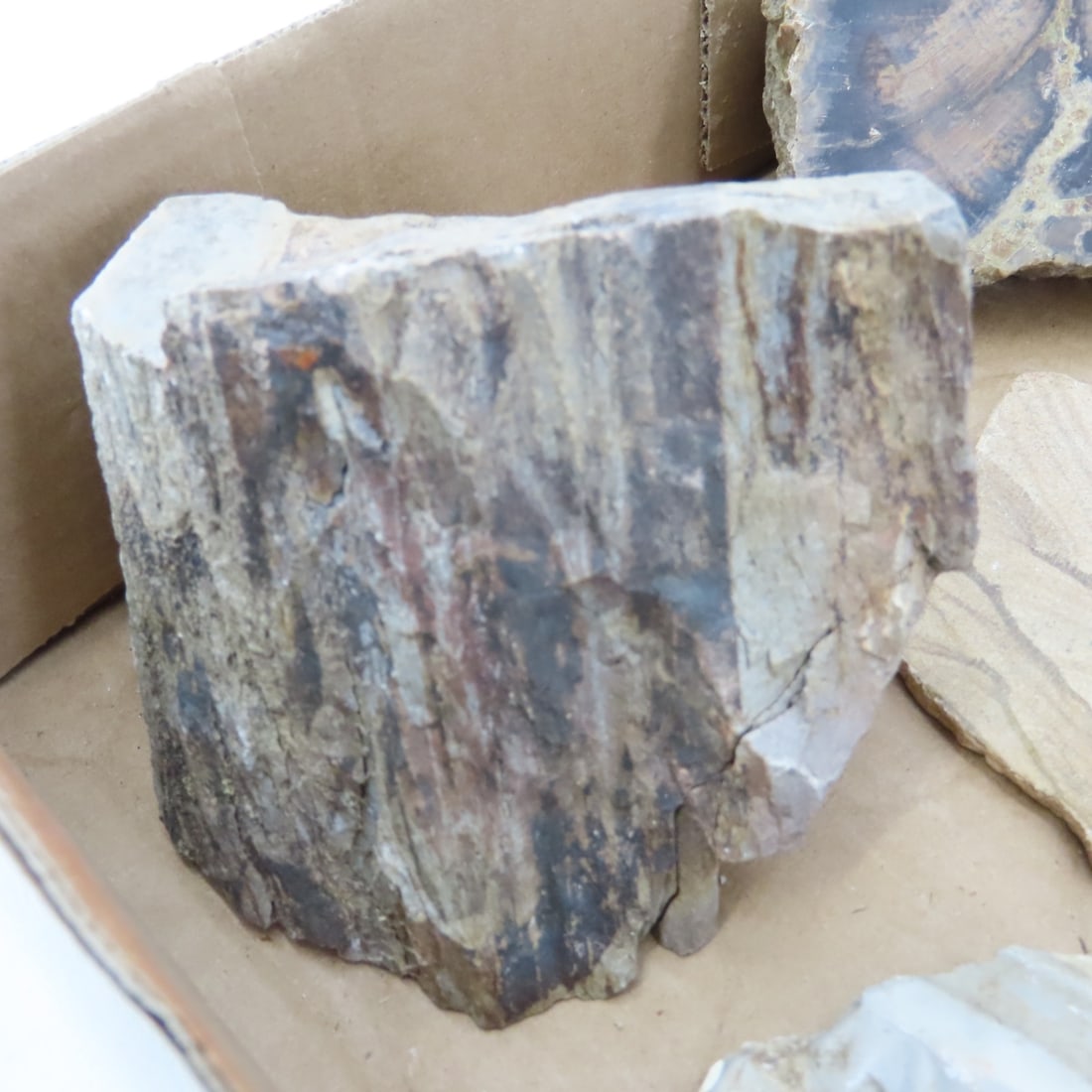 Petrified wood & other mineral specimens - 7