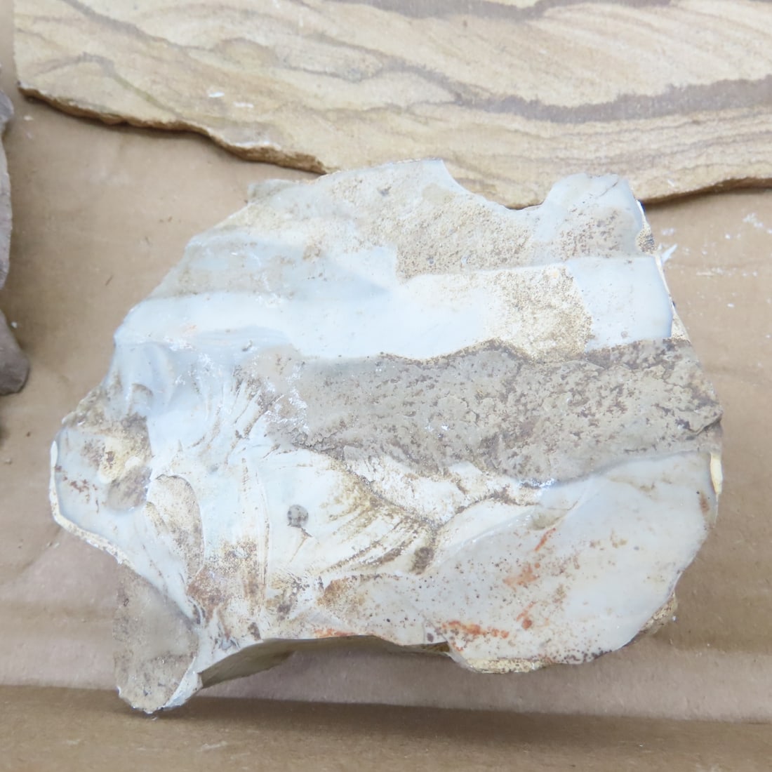 Petrified wood & other mineral specimens - 8