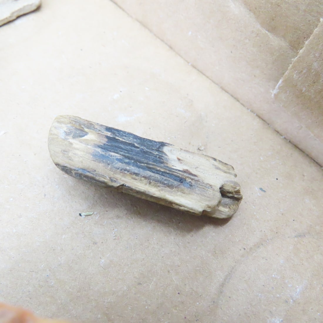 Petrified wood & other mineral specimens - 9