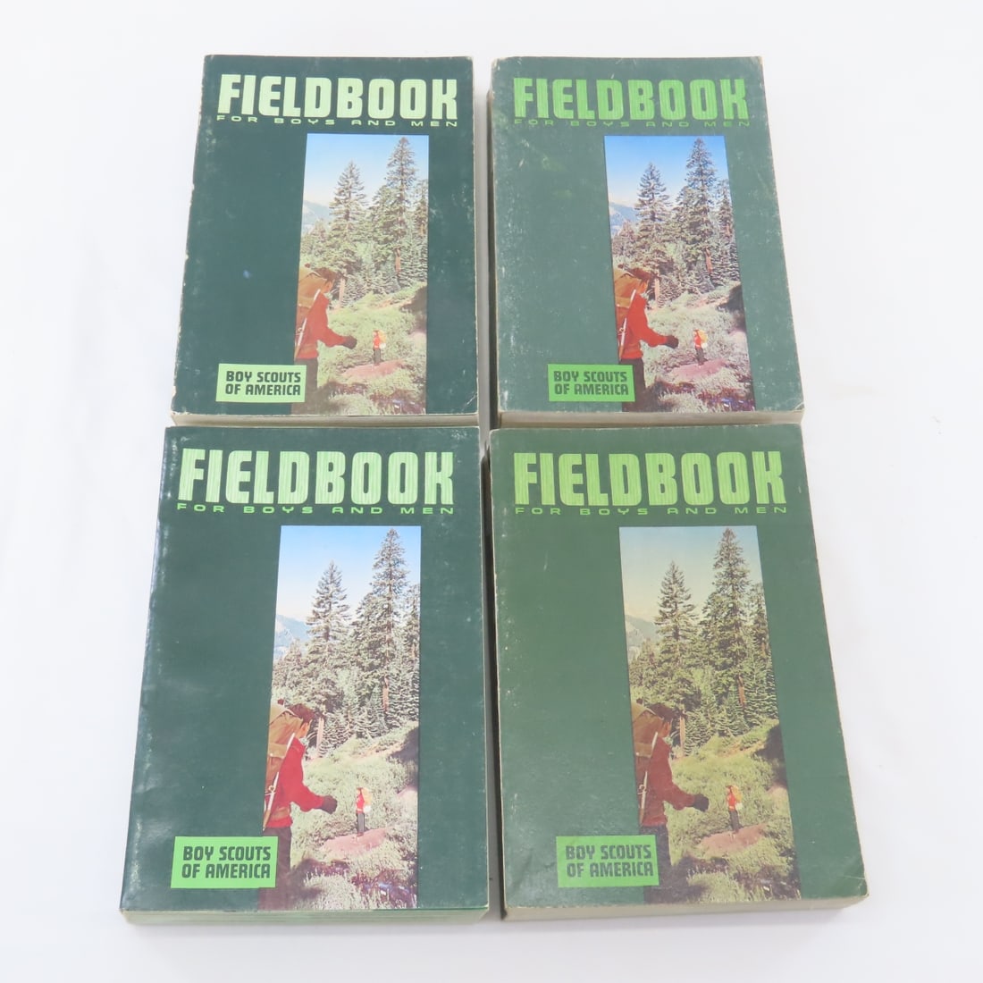 Vintage Boy Scouts Field & Requirement Books - 9