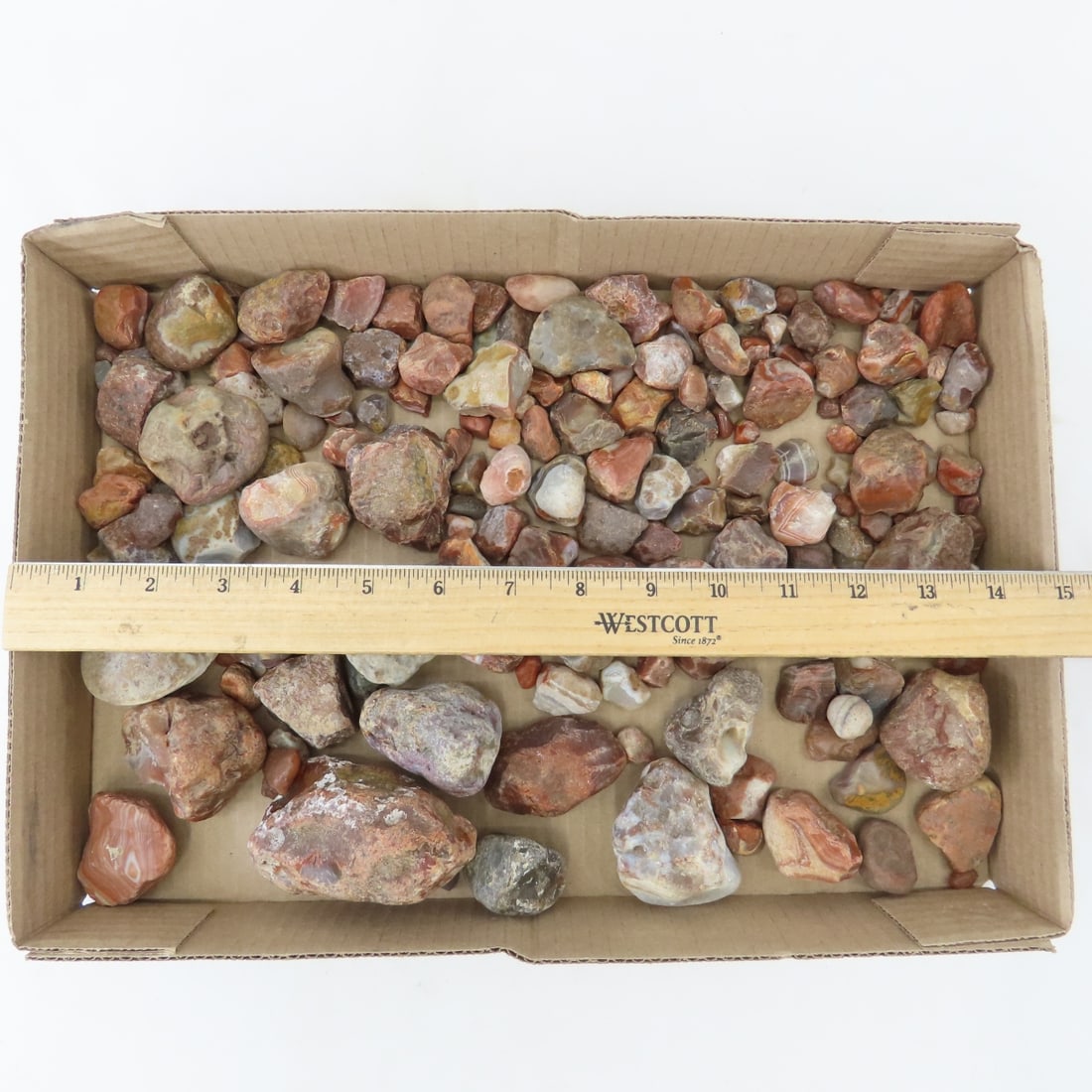 Collection of Lake Superior Agates & other rocks - 2