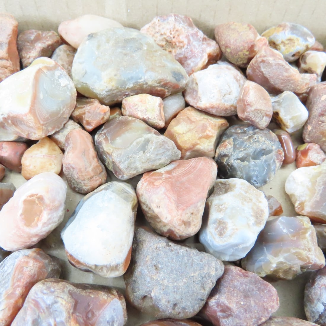Collection of Lake Superior Agates & other rocks - 5