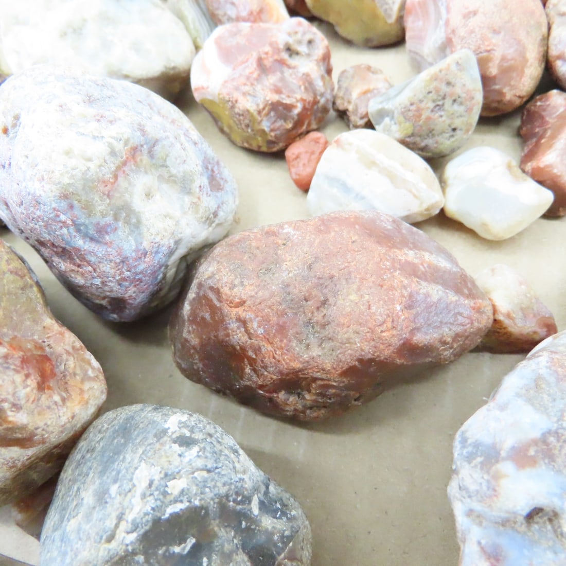Collection of Lake Superior Agates & other rocks - 6