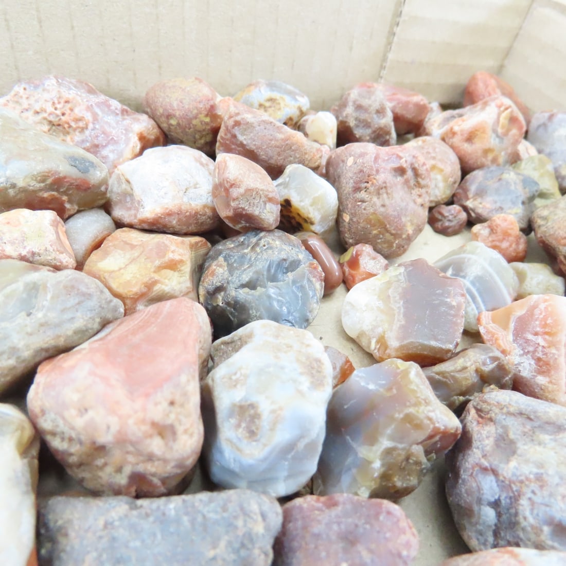 Collection of Lake Superior Agates & other rocks - 7