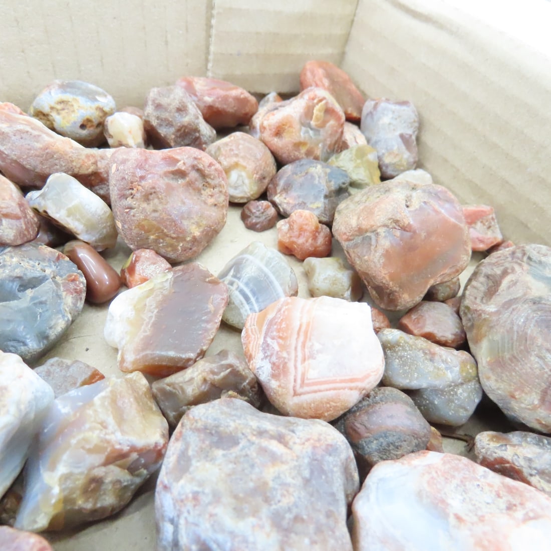 Collection of Lake Superior Agates & other rocks - 9
