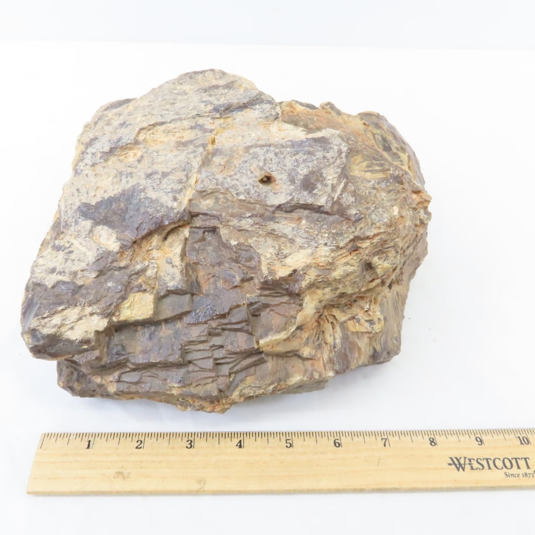 Large Piece of Petrified Wood & more, 17 LBS - 11