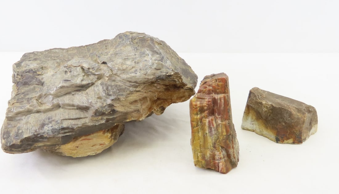 Large Piece of Petrified Wood & more, 17 LBS: Large Piece of Petrified Wood & more, 17 LBS - LOT SIZE: 10x10x7" 17 LBS All information and photos, which are part of the description, are intended to be as accurate as possible, but errors are