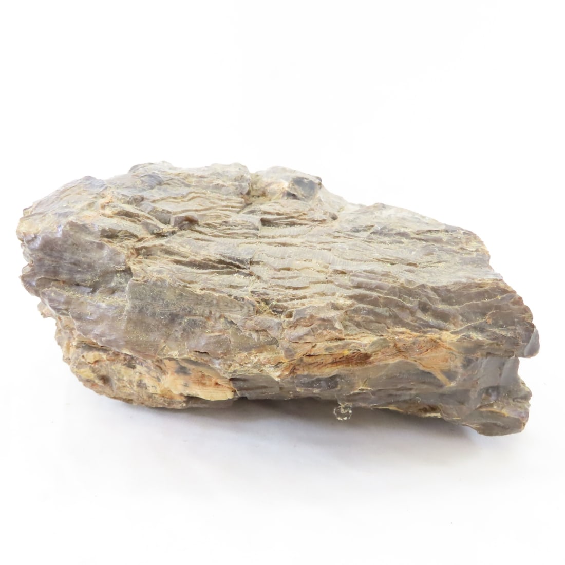 Large Piece of Petrified Wood & more, 17 LBS - 4