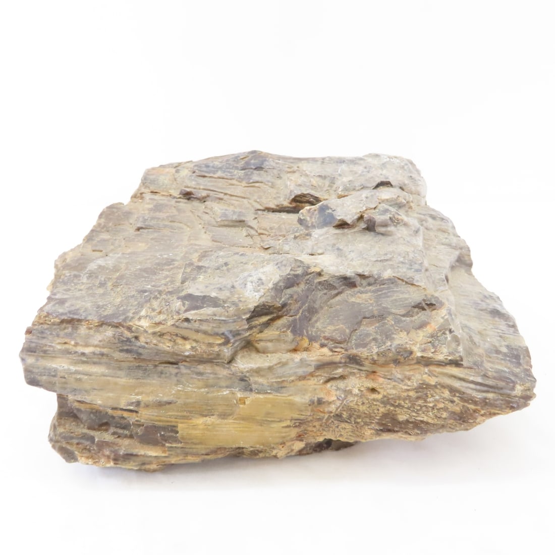 Large Piece of Petrified Wood & more, 17 LBS - 5