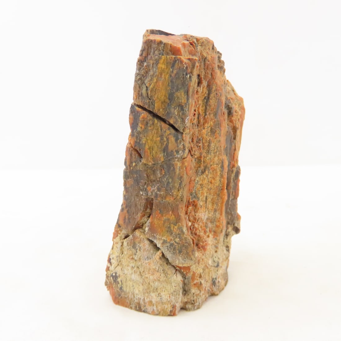 Large Piece of Petrified Wood & more, 17 LBS - 8
