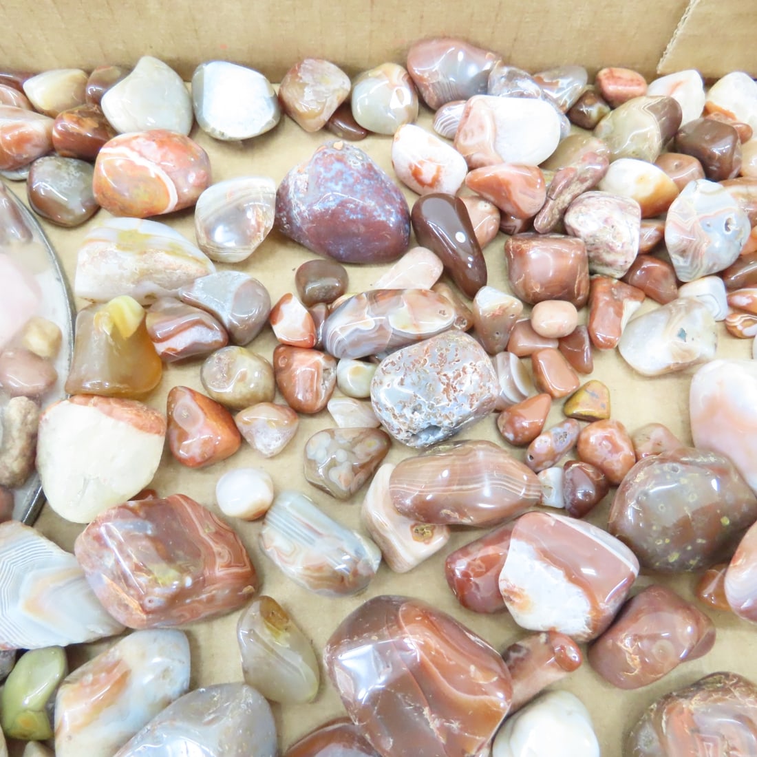 Polished Lake Superior Agates & other rocks - 6